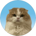 永遠の5歳児 profile picture